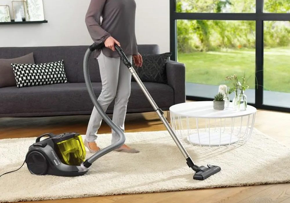 Aspirateur sans sac rowenta best sale animal care